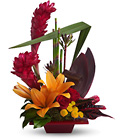 Teleflora's Tropical Bliss Cottage Florist Lakeland Fl 33813 Premium Flowers lakeland